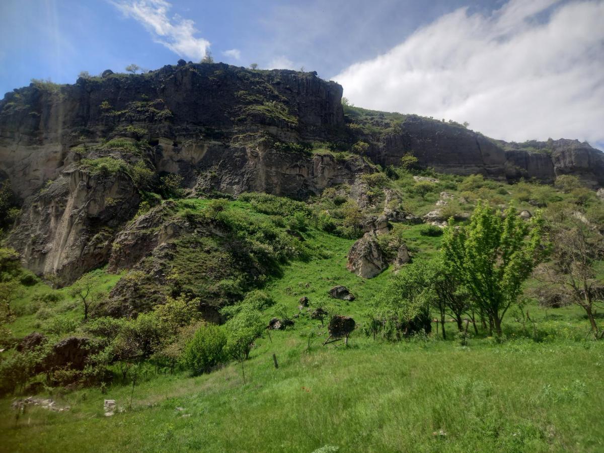 Сhachkari Bed and Breakfast Vardzia  Esterno foto