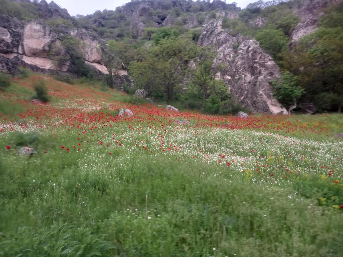 Сhachkari Bed and Breakfast Vardzia  Esterno foto